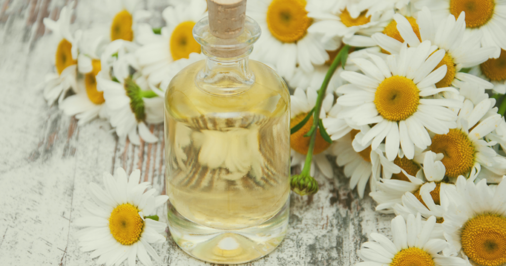 カモミールのハーブティーと花のイメージ