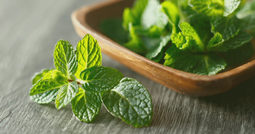フレッシュなミントの葉のイメージ